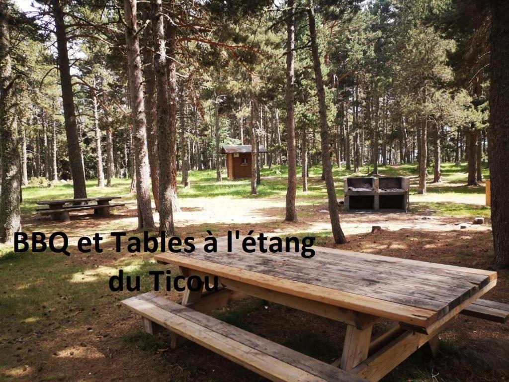 Apt confortable au pied des pistes et de la forêt Bolquere Pyrenees 2000 Exterior foto